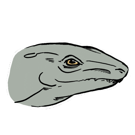 Velozee giphyupload smile paleontology lizzard Sticker