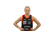 Sport Basketball Sticker by Basket_fi