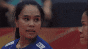 Happy Power GIF by Volleyball World