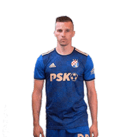 Football Soccer Sticker by GNK Dinamo