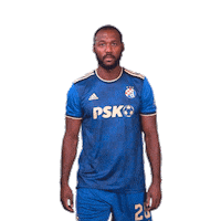 Football Soccer Sticker by GNK Dinamo