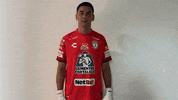 Tejuroqueteamo Elunicoenmicorazon GIF by Club Pachuca Tuzos