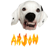 Dog Dalmatian Sticker