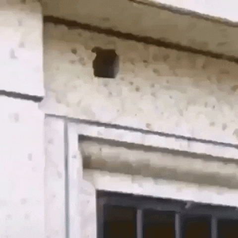 jermbly giphyupload GIF