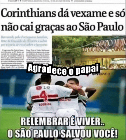 Spfcnacao_ giphycreatortest santos palmeiras tricolor GIF