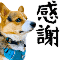 Corgi Wow Sticker