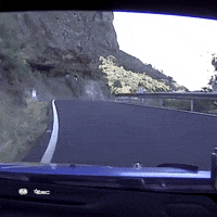 Spped Driving GIF by FIA European Rally Championship