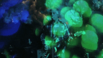 sonic youth GIF by Matador Records