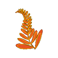 Flor Hojas Sticker by Alejandro Eder