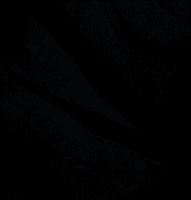 wormcurse GIF