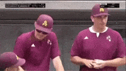 Asu Baseball GIF
