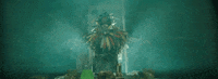 the avalanches wildflower GIF by Astralwerks