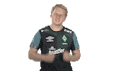 Werder Bremen Fifa Sticker by Bundesliga