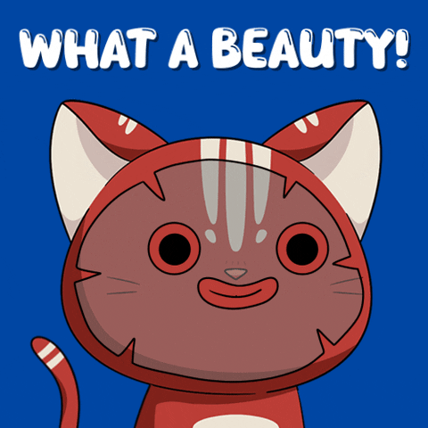 Cat Hello GIF by Kitaro World