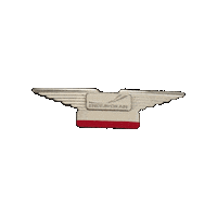 Fly Flying Sticker by Endeavor Air