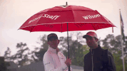 GIF by Wilson Golf