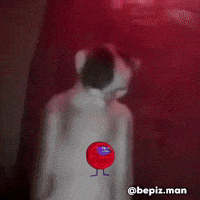 Cat Meme GIF