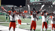 Football Celebration GIF by BC Lions