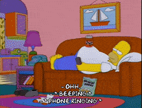 homer simpson episode 25 GIF