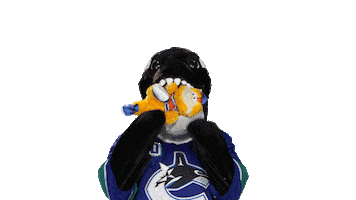 Fin Sticker by Vancouver Canucks