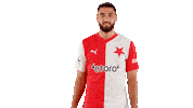 Football Soccer Sticker by SK Slavia Praha