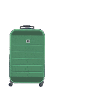 oficialbagaggio trip viajar viagem mala Sticker