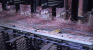 petals GIF by NOWNESS