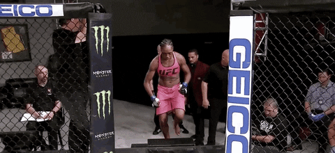 ultimate fighter fighting GIF by UFC