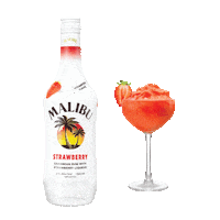 Happy Hour Cheers Sticker by Malibu Rum