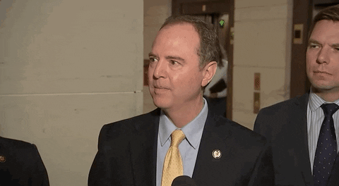 Adam Schiff GIF by GIPHY News