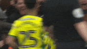NorwichCityFC ncfc norwich city otbc GIF