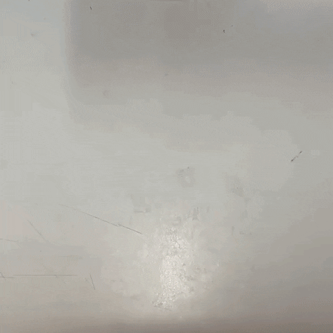 AshleyHanger giphygifmaker GIF