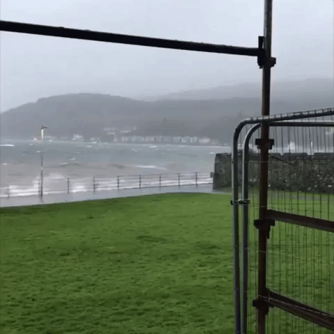 Wild Winds Pester Firth of Clyde Shores
