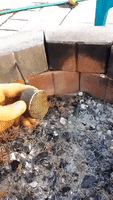 Sensitive Magnet Used to Clean Out Fire Pit