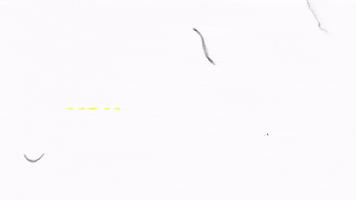 Glad U Came GIF by Jason Derulo