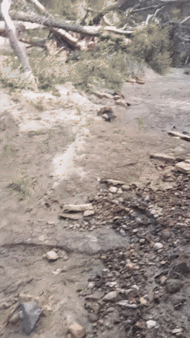 MOhunting giphyupload GIF