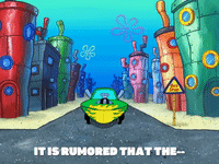 season 8 GIF by SpongeBob SquarePants