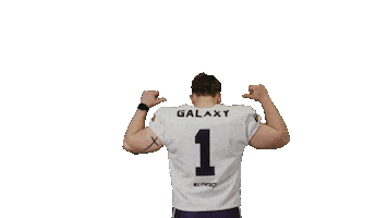 American Football Sticker by Frankfurt Galaxy