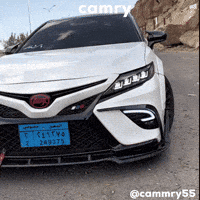 Camry GIF