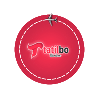Seyahat Bodrum Sticker by Tatilbo Turizm