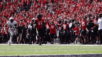 University Of Cincinnati Touchdown GIF by Cincinnati Bearcats