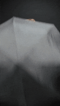 ReineDigital prg pinnacle racing group connor zilisch landon s huffman GIF