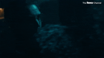 Scared James Ransone GIF by The Roku Channel