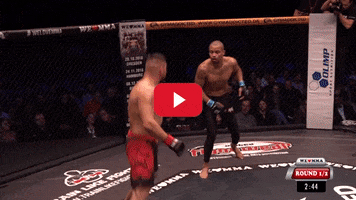 Mixed Martial Arts Fighting GIF by We love MMA