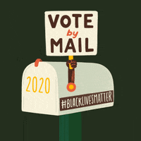 Voting Black Lives Matter GIF by INTO ACTION