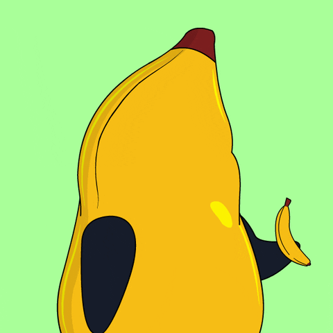 GIF by Pudgy Penguins