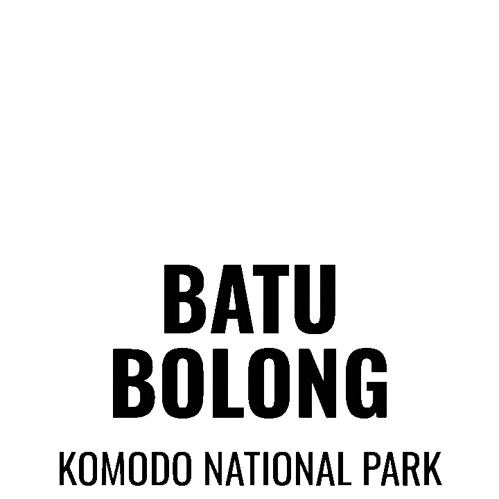 Scubadiving Sticker by Dragon Dive Komodo