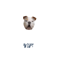 Happy Butler Bulldogs Sticker by Butler University