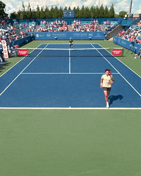 Atp Tour Sport GIF by Tennis TV