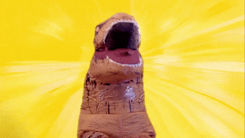dance dancing GIF by #MTNBrightSideGIFs